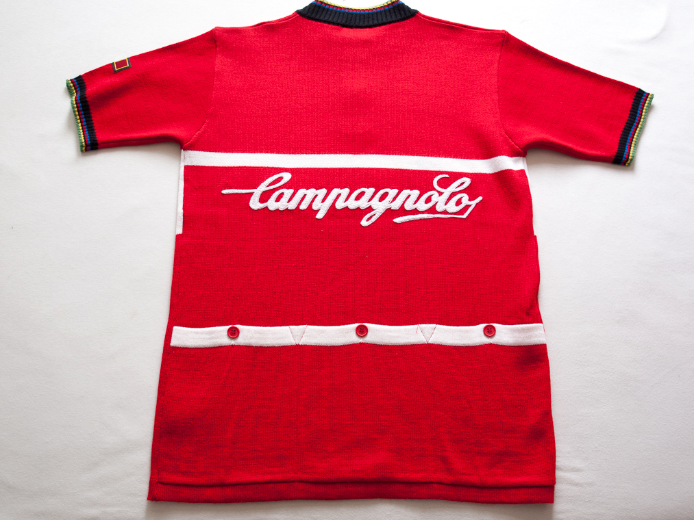 raleigh campagnolo jersey