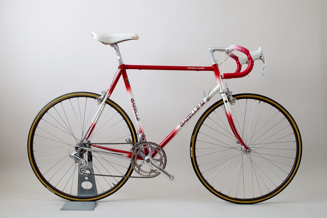 campagnolo frame