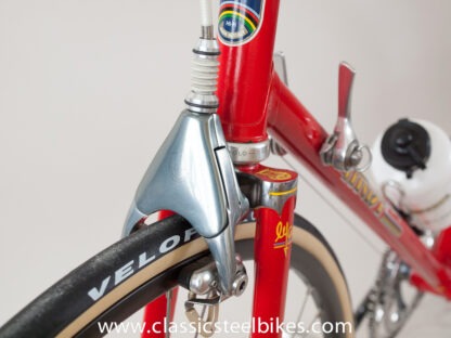 Masi Prestige 56cc Campagnolo C-Record Century Finish