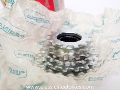 Regina Extra BX Synchro Freewheel 6speed